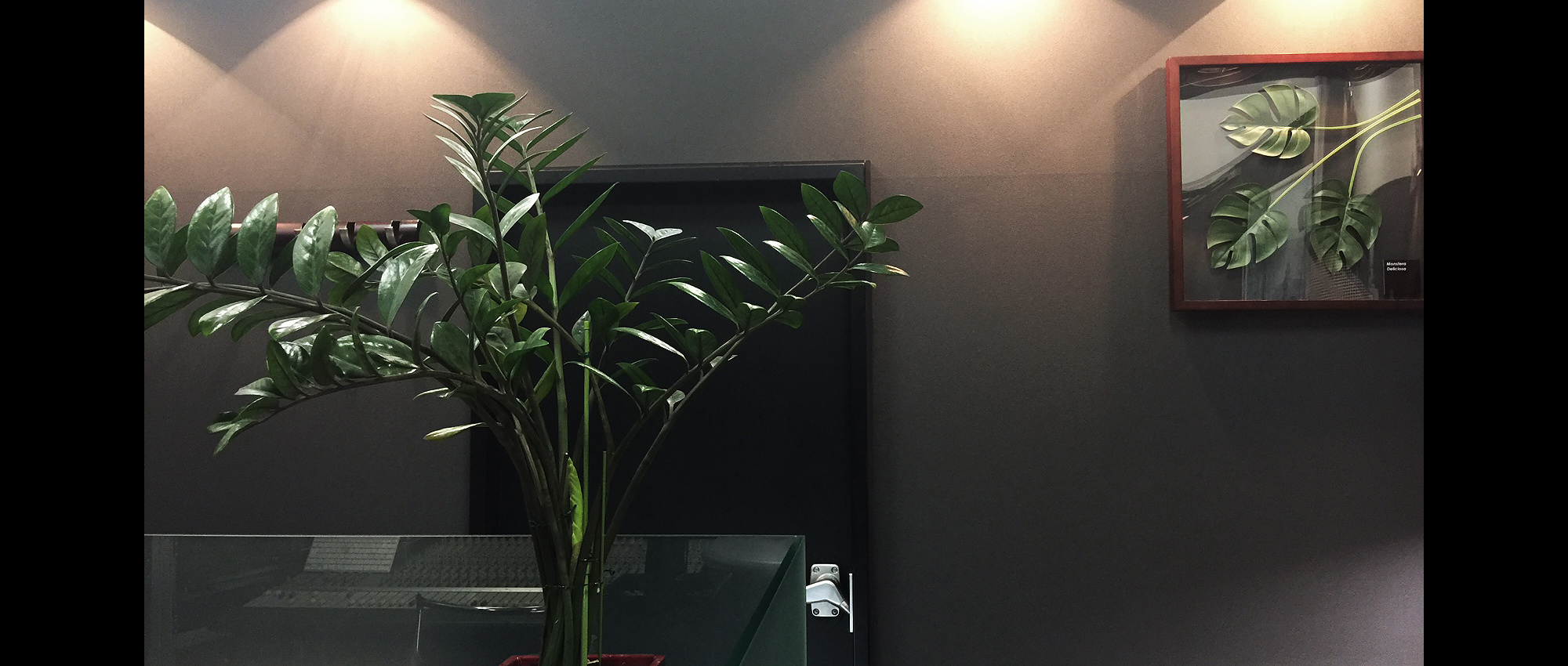 放送制作,エントランス