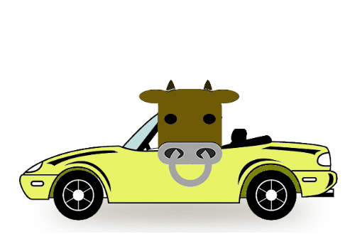 car&cow