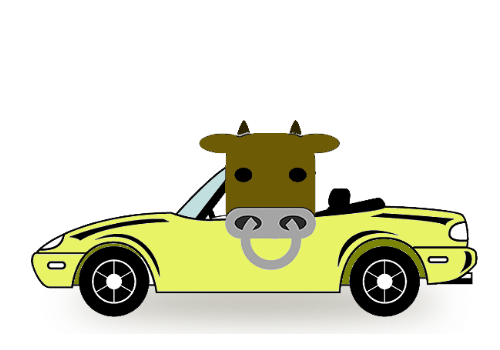黄色い車に乗った牛